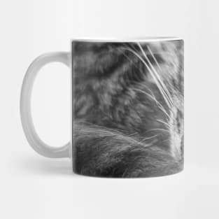 moody kitten b&w Mug